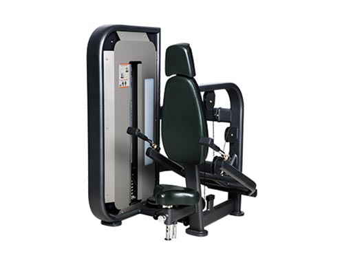 SH-6808-三頭肌訓練器(qì)